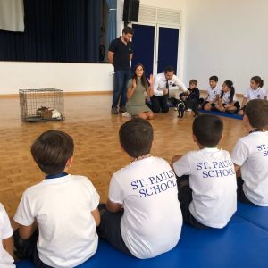 St. Paul’s School celebrou o Dia Mundial do Anima St. Paul’s School celebrou o Dia Mundial do Anima